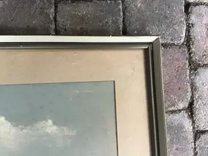 Gerard Cox (jr.) - Duinzicht. kopen? Bied vanaf 30!