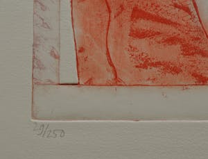 Karin Campfens - Kleurenets met rode bloem kopen? Bied vanaf 35!