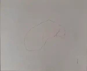 Melle Oldeboerrigter - Map Melle zestig kopen? Bied vanaf 145!