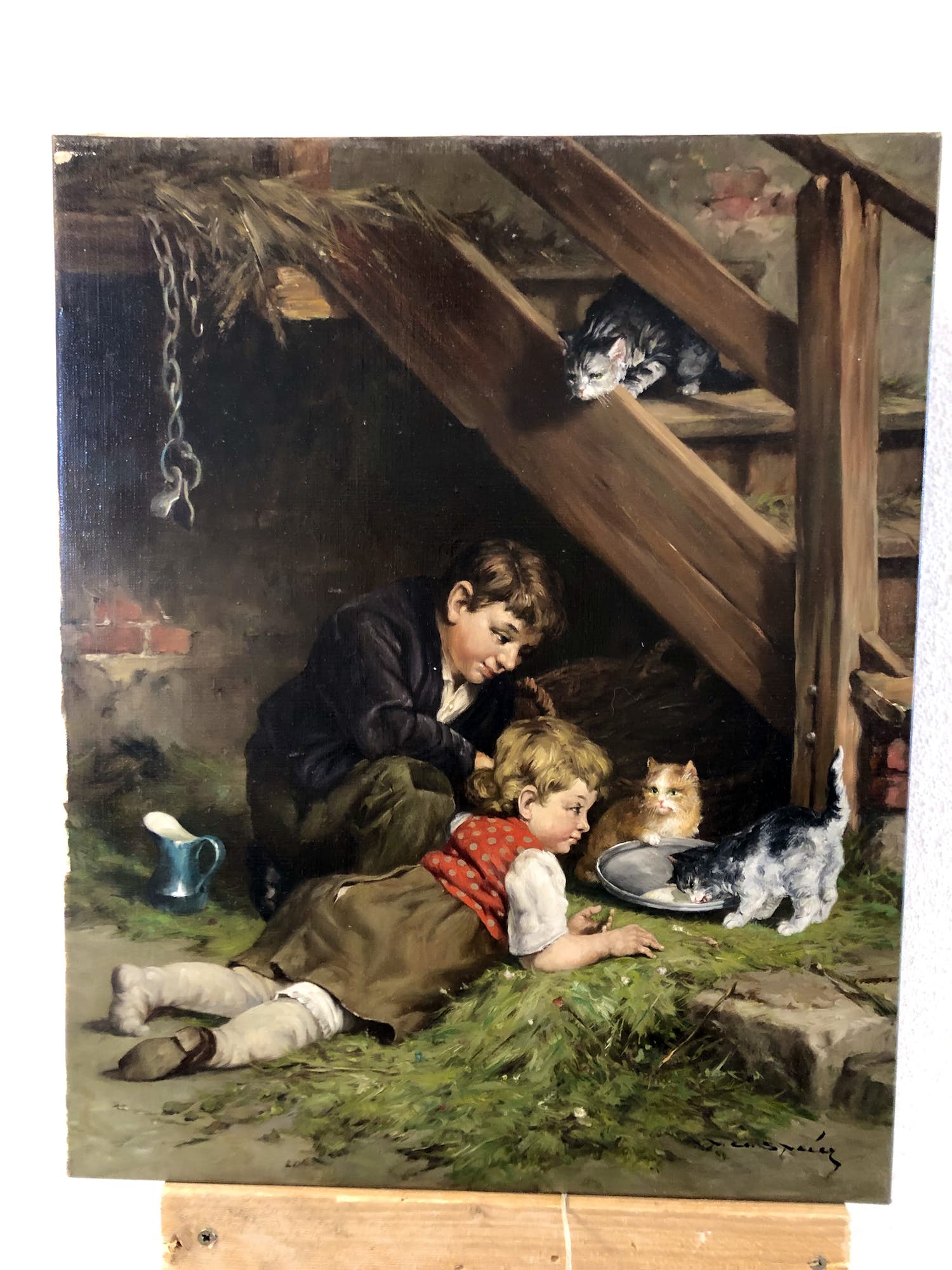 Peter Albert Speier - Kätzchen kopen? Bied vanaf 150!