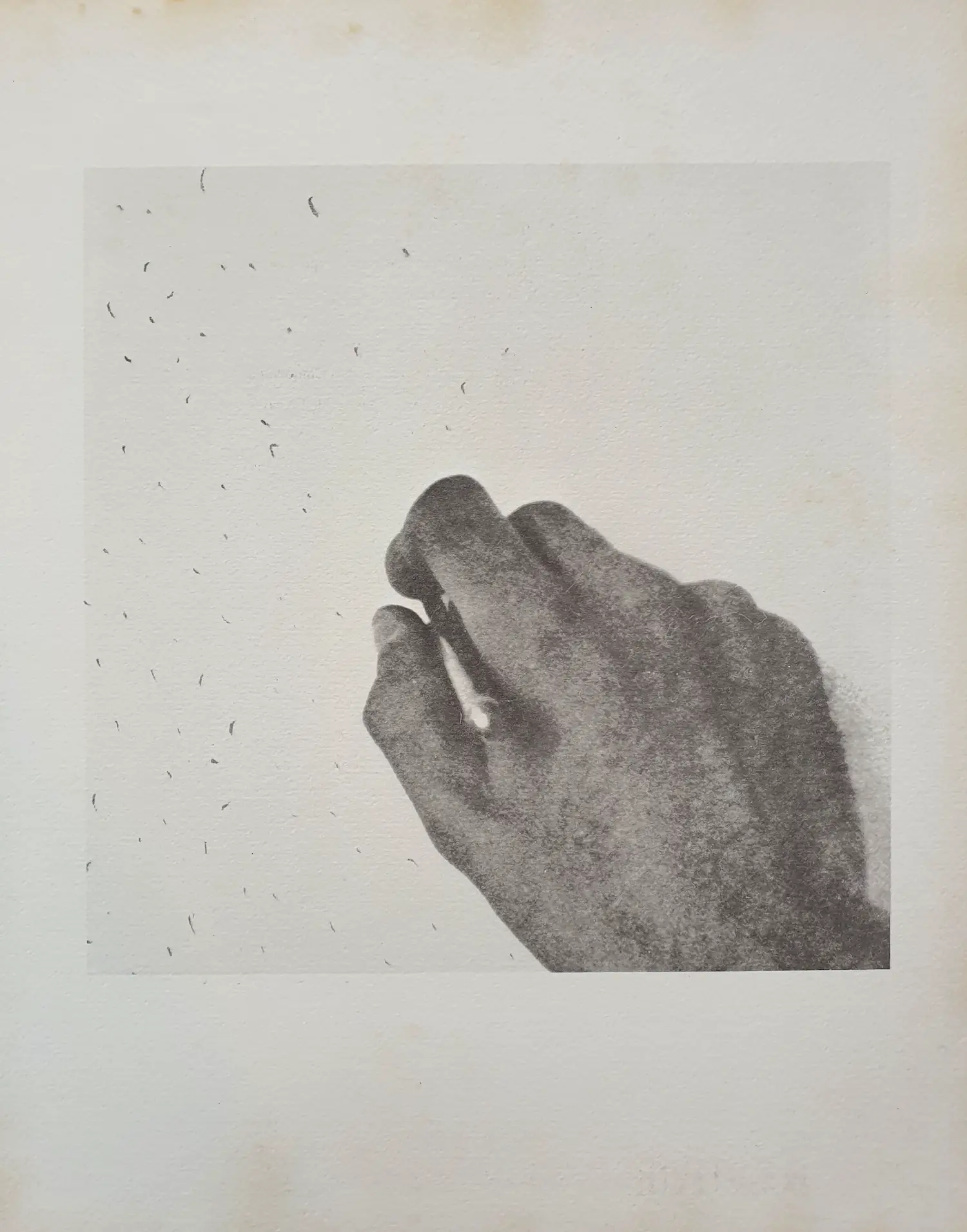 Giulio Paolini (1940)