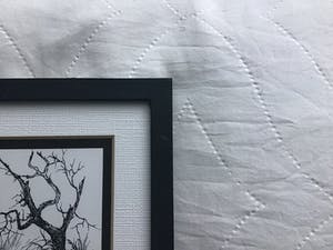 Niet of onleesbaar gesigneerd - Boom alleen. kopen? Bied vanaf 1!