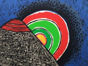 Corneille - l'oiseau noir à tête rouge - e.a. exemplaar kopen? Bied vanaf 175!