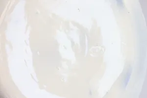 Firma Regout & Co - Persian kopen? Bied vanaf 75!