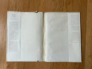 Robert Franquinet - Palet in het Zuiden kopen? Bied vanaf 20!