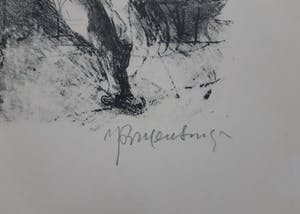 Jan Mensinga - Prinses op de erwt kopen? Bied vanaf 45!