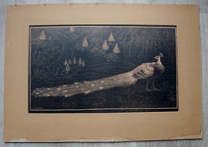 Henri Verstijnen - Houtsnede: Pauw kopen? Bied vanaf 70!