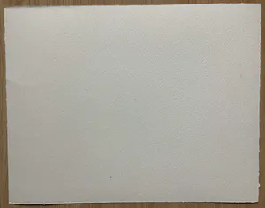 Corneille - Regard sur l'oiseau kopen? Bied vanaf 160!