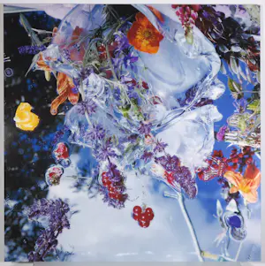 Margriet Smulders - Grote C-print op dibond, Hermes kaufen? Bieten Sie von 1500!