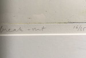 Hans Vredegoor - Break-Out kopen? Bied vanaf 35!