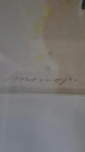 Bas Haasnoot - Steltloper kopen? Bied vanaf 20!