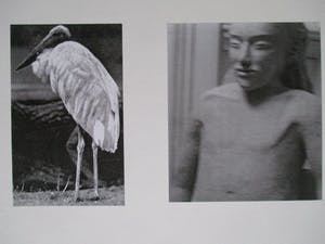 Mark Manders - Tryptiek Sonsbeek 1993 kopen? Bied vanaf 300!