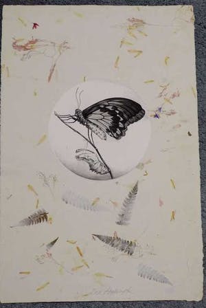 Dick Stolwijk - Dick Stolwijk, ets, eigendruk, bladformaat 50.5 x 33.5 cm. kopen? Bied vanaf 75!
