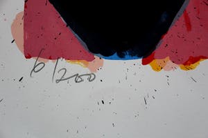 Jan Cremer - Zeefdruk: Tulips 03 -96 - 1996 kopen? Bied vanaf 195!