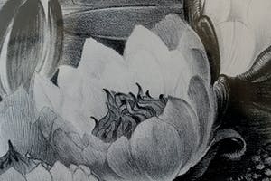 Jan Schonk - Z.t. (Waterlelies) kopen? Bied vanaf 60!