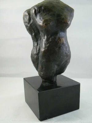 Brons (Onbekend) - Torso (Man & Vrouw) van Susanne den Hoed kopen? Bied vanaf 199!