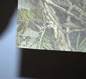 Jan Voerman (jr.) - kleurenlitho sneeuwuil kopen? Bied vanaf 50!