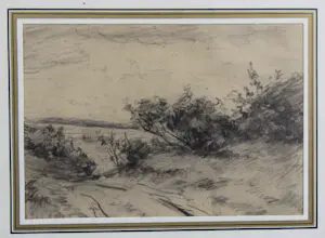 Abraham van der Wissel - Twee studies van bomen - potlood, houtskool kopen? Bied vanaf 30!