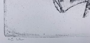 Charles Donker - ets - Noordoostenwind - definitieve, 3e staat - 1984 kopen? Bied vanaf 350!