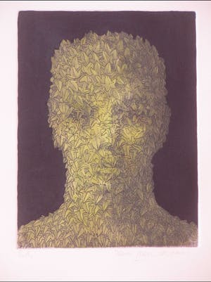 Jean Paul Vroom - Bladerhoofd kopen? Bied vanaf 60!