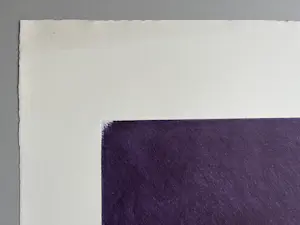 Arnulf Rainer - Violette Zudeckung - Signierte und nummerierte Original Aquatinta Radierung kopen? Bied vanaf 2200!