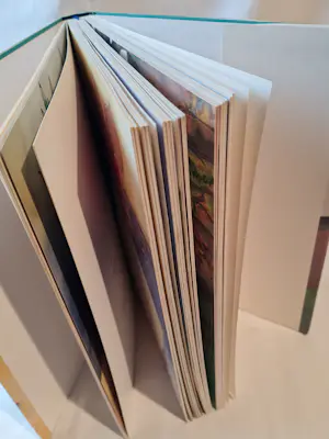 Gunter Grass - Fundsachen für Nichtleser, Buch 239 Seiten kopen? Bied vanaf 20!