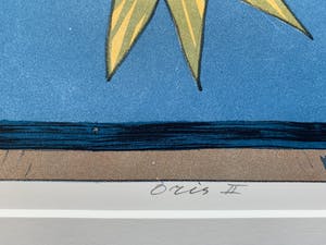 Gert Strengholt - kleurenlitho - 'Oris II' (Kleine oplage) kopen? Bied vanaf 60!