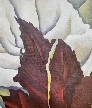 Georgia O’Keeffe - Set van drie prints,Klaproos,Trompetbloem en Bladeren Patroon kopen? Bied vanaf 30!