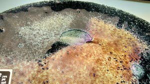 Floris van Tetterode - Zonder Titel kopen? Bied vanaf 35!