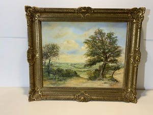 Joop Stoffels - Wageningen kopen? Bied vanaf 25!