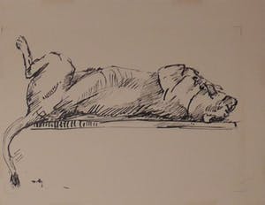 Wim Motz - 4 tekeningen van leeuwen/leeuwinnen kopen? Bied vanaf 50!