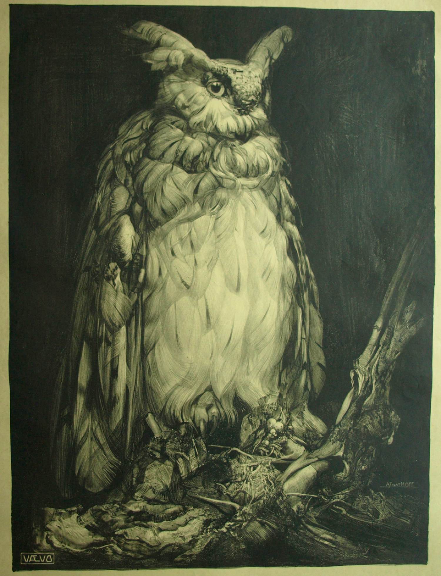 Adriaan van 't Hoff - Lithografische prent , Oehoe – Uitgegeven door De V.AE.V.O. –100x75 cm kopen? Bied vanaf 60!