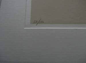 Herman Brood - Herman Brood - ingelijste zeefdruk: Green Head - gesigneerd kopen? Bied vanaf 299!