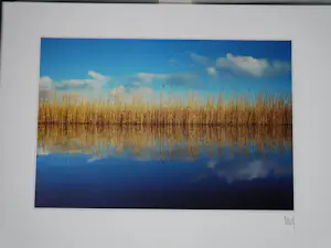 Martin Kers - kleurenreprodukties kopen? Bied vanaf 60!