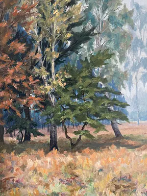 Jan van Campenhout - Sous-Bois en automne kopen? Bied vanaf 65!