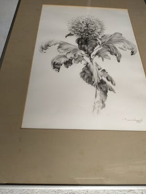 Niet of onleesbaar gesigneerd - Greet Aeijelts kopen? Bied vanaf 1!