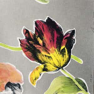 Arjan van Arendonk - Tulip nr 70 verkocht voor € 45!
