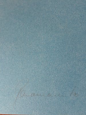 Panamarenko - Flying Tiger 1 kopen? Bied vanaf 675!