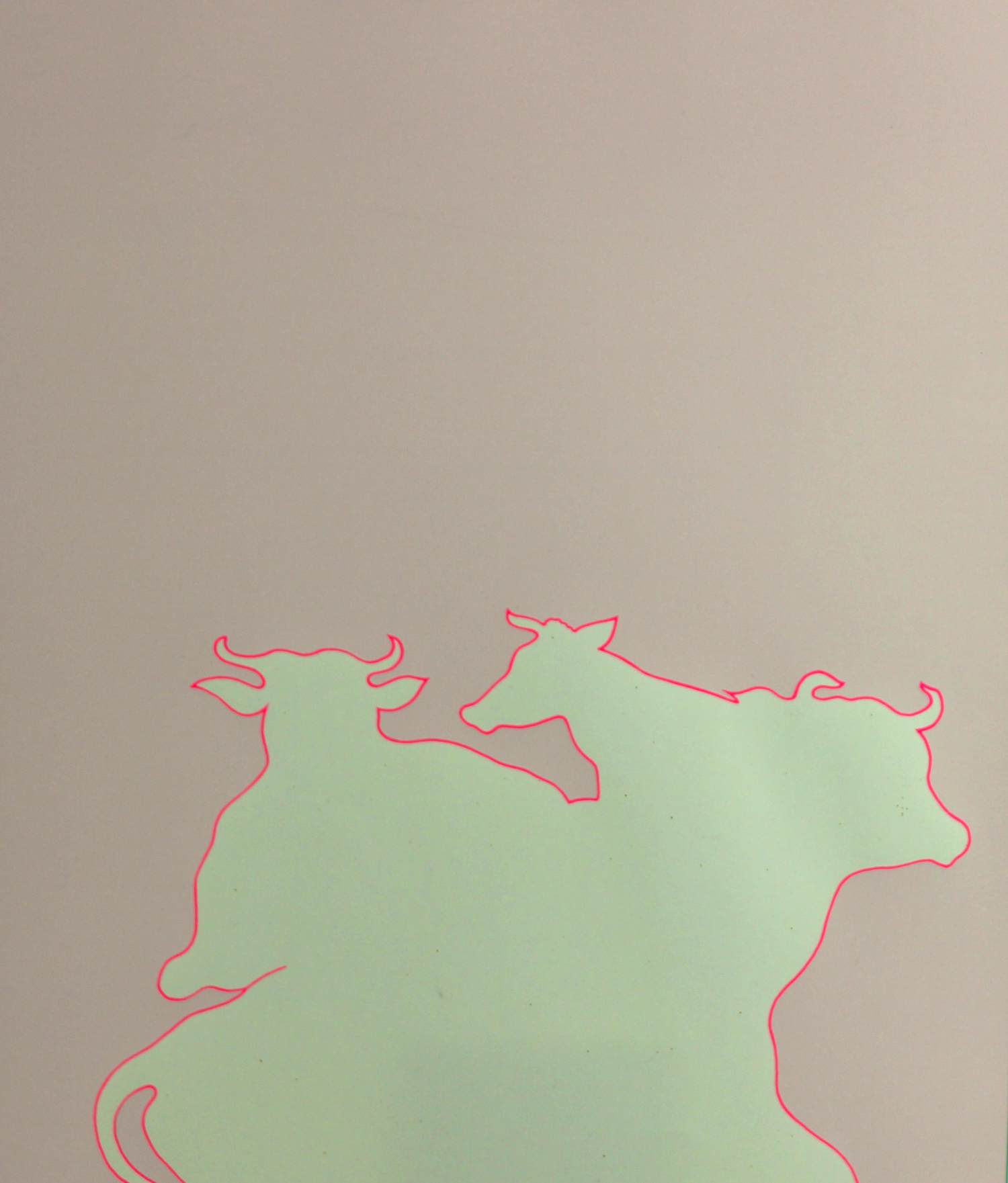 Han Jansen - Koeien (2x) kopen? Bied vanaf 70!