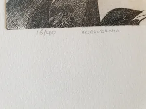 Hester de Beus - Vogeldrama kopen? Bied vanaf 30!