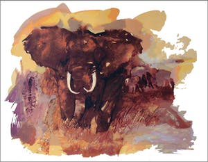 Lydia van Domburgh - De Matriarch kopen? Bied vanaf 30!