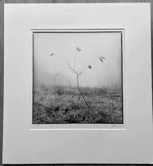 Ralph Janowski - Zonder titel kopen? Bied vanaf 30!