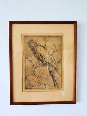 Johannes Nicolaas jr. - papegaai op tak verkocht voor € 35!