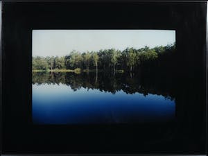 Paul Huf - Foto, Boslandschap- Ingelijst kopen? Bied vanaf 1!