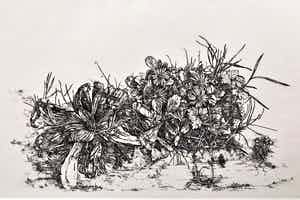 Simon Koene - Weegbree en madelieven verkocht voor € 30!