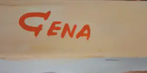Gena - 'Tulpen'(groot schilderij) kopen? Bied vanaf 255!