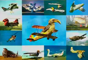 Martin Schwarz - "Vogelflieger" 1997 - Lithographie - Auflage von 350 - signiert - (70 x 50 cm) kaufen? Bieten Sie von 80!