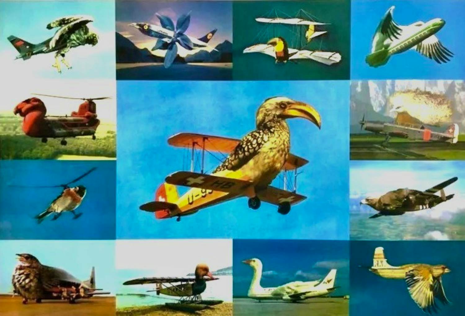 Martin Schwarz - "Vogelflieger" 1997 - Lithographie - Auflage von 350 - signiert - (70 x 50 cm) kopen? Bied vanaf 99!