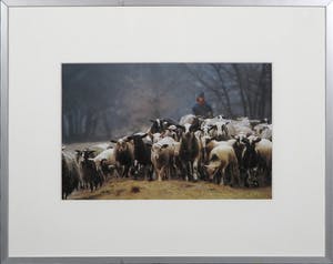 Niet of onleesbaar gesigneerd - Foto, Holland - Ingelijst kopen? Bied vanaf 10!