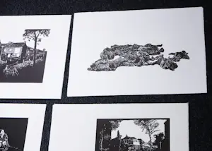 Stijn Peeters - Serie van 73 linosnedes 2003-2005 kopen? Bied vanaf 450!